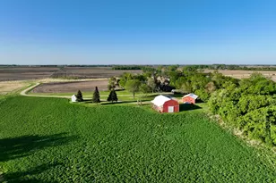 2200 216th St, Madison, MN 56256 - Photo 4