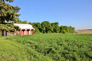 2200 216th St, Madison, MN 56256 - Photo 16