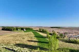 2200 216th St, Madison, MN 56256 - Photo 2