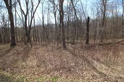 Xxx Lake Camille Dr., Randall, MN 56475 - Photo 12