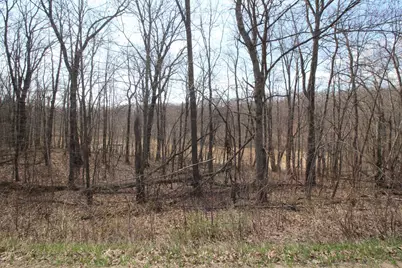 Xxx Lake Camille Dr., Randall, MN 56475 - Photo 6