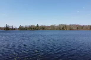 4741N Western Breeze, Ojibwa, WI 54862 - Photo 1