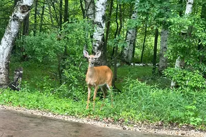 7884 341st Street, Stacy, MN 55079 - Photo 10