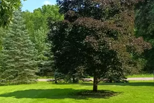 7884 341st St, Stacy, MN 55079 - Photo 6