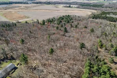 Tbd Montgomery Road, Hixton, WI 54635 - Photo 16