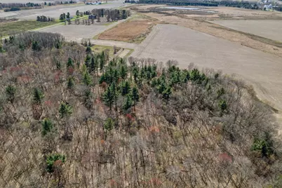 Tbd Montgomery Road, Hixton, WI 54635 - Photo 12