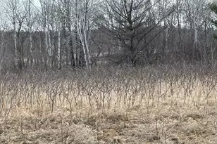 Xxxx Ottawa Dr, Browerville, MN 56438 - Photo 1