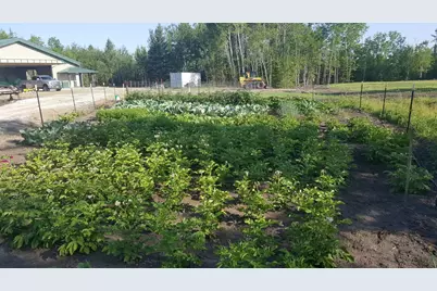 1693 Town Road 112, Birchdale, MN 56629 - Photo 16