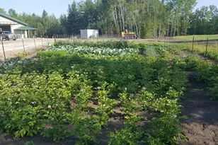 1693 Town Rd 112, Birchdale, MN 56629 - Photo 16