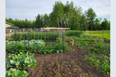 1693 Town Road 112, Birchdale, MN 56629 - Photo 18