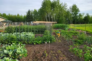 1693 Town Rd 112, Birchdale, MN 56629 - Photo 18