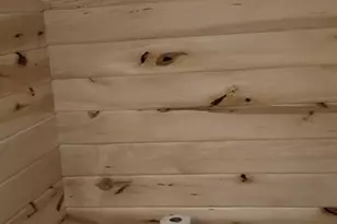 1693 Town Rd 112, Birchdale, MN 56629 - Photo 8