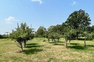 18851 121st Ave, Leaf River Twp, MN 56482 - Photo 48