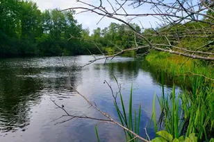 Lot 2 State Road 27/70, Couderay, WI 54828 - Photo 1