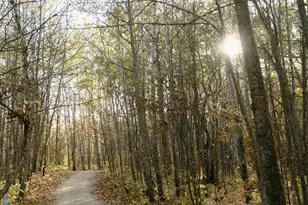 21574 State 200, Bagley, MN 56621 - Photo 110