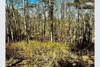 Tbd Rognaldson Road, Brainerd, MN 56401 - Photo 14