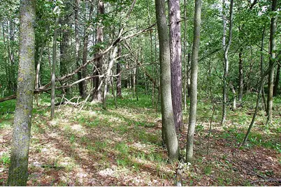 Tbd Rognaldson Road, Brainerd, MN 56401 - Photo 8