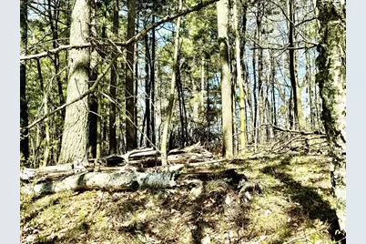 Tbd Rognaldson Road, Brainerd, MN 56401 - Photo 6