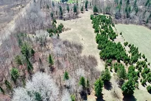 Tbd 172nd Pl, McGregor, MN 55760 - Photo 1