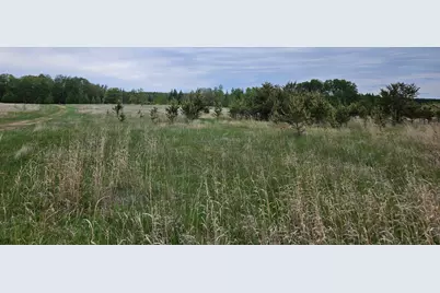 Tbd Pillager Creek Trail SW, Pillager, MN 56473 - Photo 4