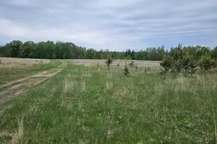 Tbd Pillager Creek Trail SW, Pillager, MN 56473 - Photo 1