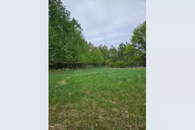 Tbd Pillager Creek Trail SW, Pillager, MN 56473 - Photo 2
