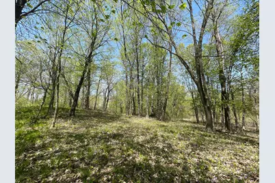 1Xx Stark Road, Harris, MN 55032 - Photo 18