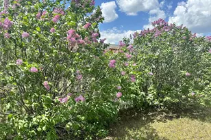 1008 Sunrise Cir, Park Rapids, MN 56470 - Photo 30