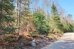 Tbd Frazer Bay Rd, Greenwood, MN 55790 - Photo 1