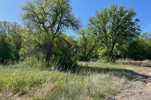 Tbd Hwy 212, Montevideo, MN 56265 - Photo 1