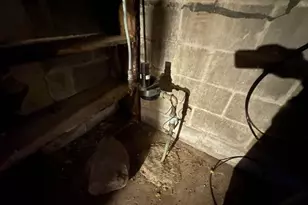 807 Co Rd 6, Renville, MN 56284 - Photo 32