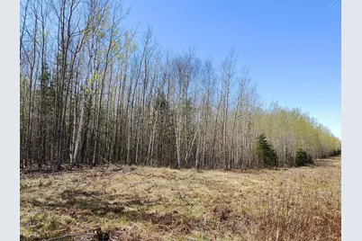 Tbd4 Hwy. 115, Greenwood, MN 55790 - Photo 1