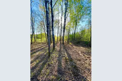 Tbd Mallard Place, Sandstone, MN 55072 - Photo 4