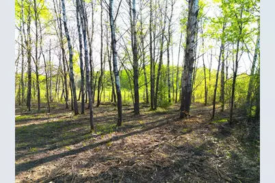 Tbd Mallard Place, Sandstone, MN 55072 - Photo 18