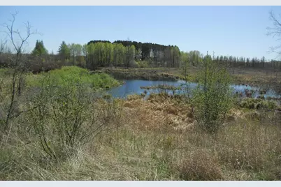 39769 Kestrel Avenue, Tamarack, MN 55787 - Photo 20