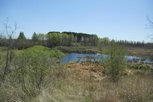 39769 Kestrel Ave, Tamarack, MN 55787 - Photo 20