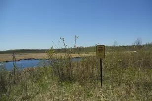 39769 Kestrel Ave, Tamarack, MN 55787 - Photo 24