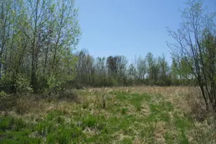 39769 Kestrel Ave, Tamarack, MN 55787 - Photo 26