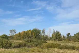 39769 Kestrel Ave, Tamarack, MN 55787 - Photo 38