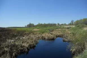 39769 Kestrel Ave, Tamarack, MN 55787 - Photo 16