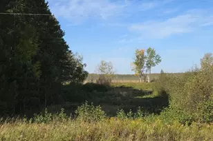 39769 Kestrel Ave, Tamarack, MN 55787 - Photo 36