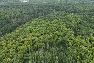 Tbd Engine Hill Rd, Dairyland, WI 54830 - Photo 1