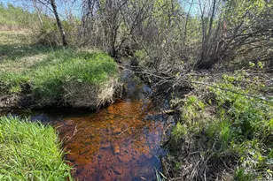 Tbd Skog Rd, Kettle River, MN 55757 - Photo 1