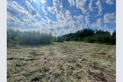 Tbd Skog Road, Kettle River, MN 55757 - Photo 4