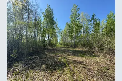 Tbd Skog Road, Kettle River, MN 55757 - Photo 14