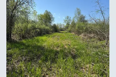 Tbd Skog Road, Kettle River, MN 55757 - Photo 12