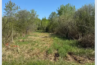 Tbd Skog Road, Kettle River, MN 55757 - Photo 10
