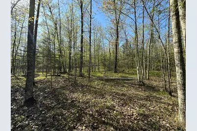 Xxx Elm Road, Barnum, MN 55707 - Photo 18