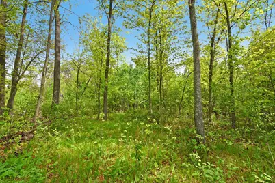 Xxx Maplewood Drive, East Gull Lake, MN 56401 - Photo 14