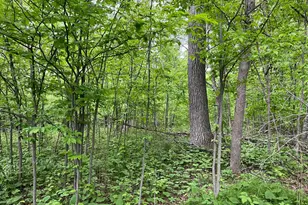 Xxx Crust Rd, Brainerd, MN 56401 - Photo 30